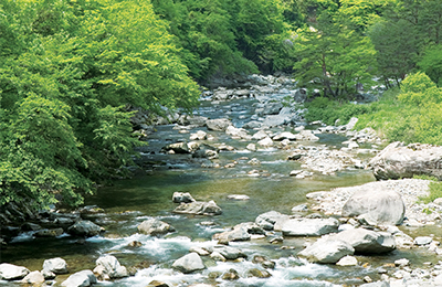 Gifu