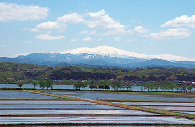 Ishikawa