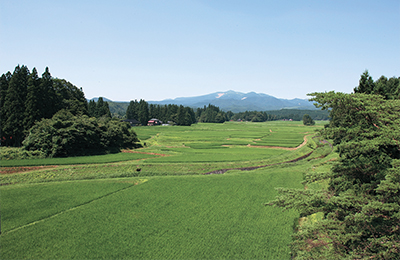 Iwate