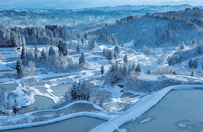 Niigata