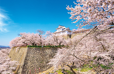 Okayama