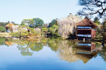 Shuraku-en Garden（Former Tsuyama Domain Villa Garden）