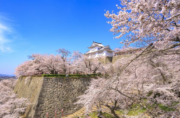 津山城（鶴山公園）