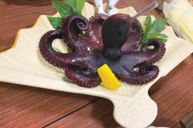 Octopus of Himakajima