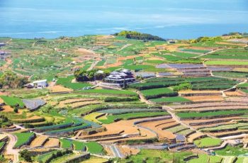Beautiful terraced fields crafted by farmers