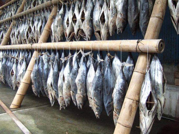 Shio Katsuo (Salted Bonito)