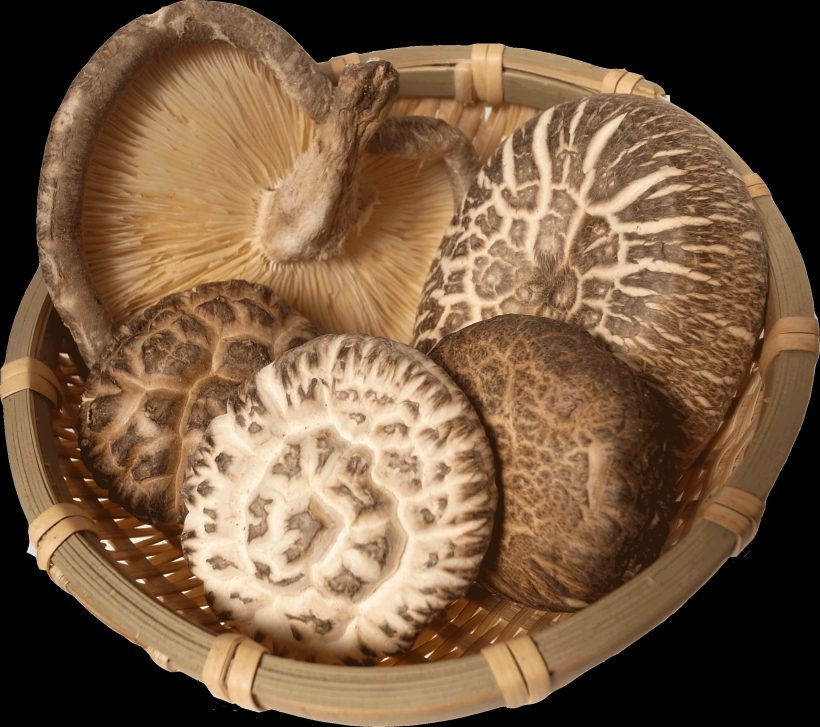 Log-Grown Shiitake Mushrooms