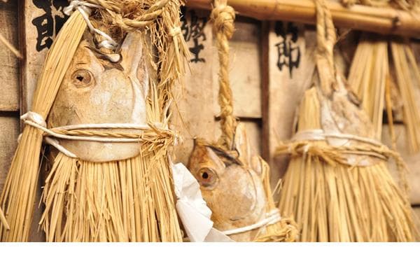 Shio Katsuo (Salted Bonito)