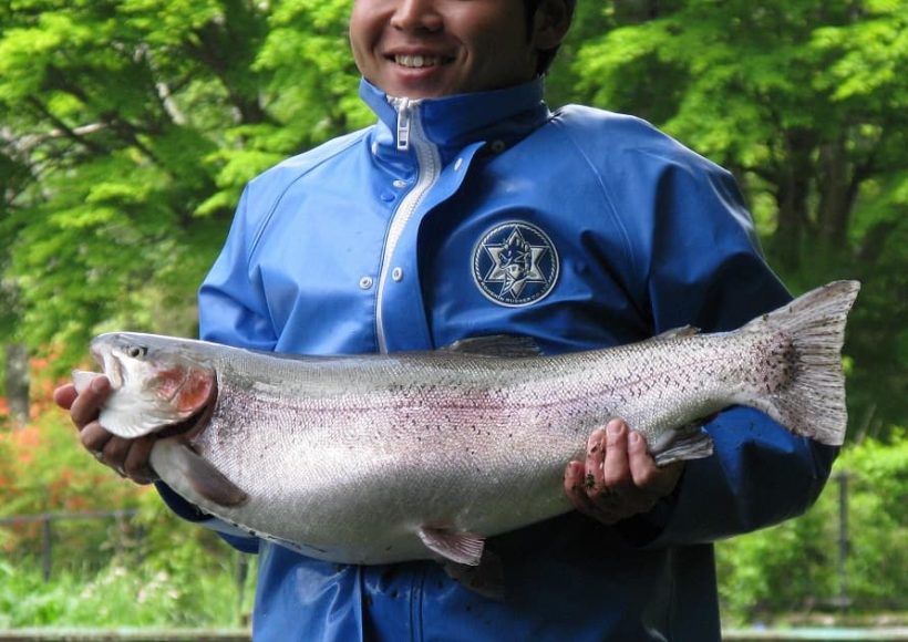 Rainbow Trout