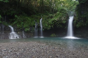 Inokashira, the Village of Spring Water: A Healing Experience for the Five Senses