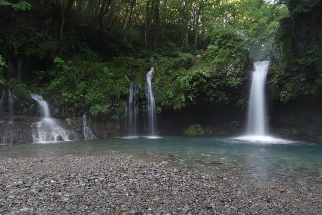 Inokashira, the Village of Spring Water: A Healing Experience for the Five Senses