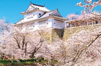 Tsuyama Castle(Kakuzan Park)