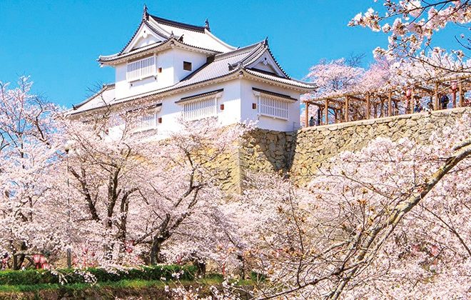 Tsuyama Castle(Kakuzan Park)