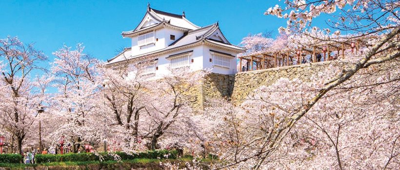 Tsuyama Castle(Kakuzan Park)