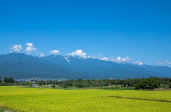 A natural park in the entire area