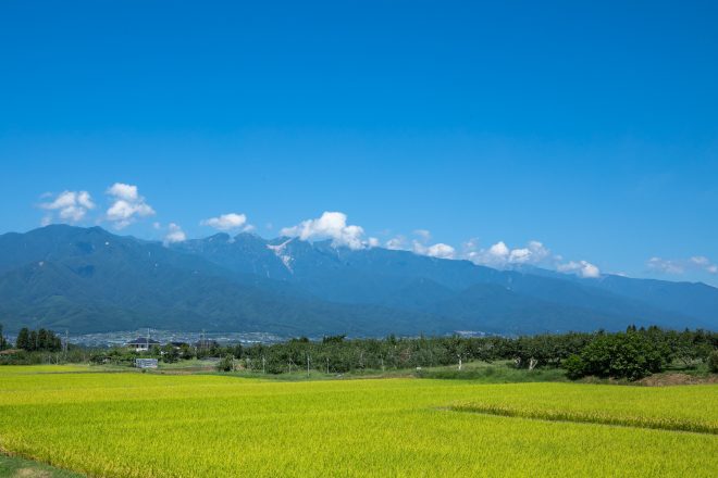 A natural park in the entire area