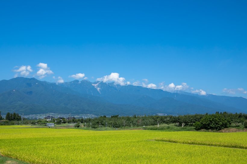 A natural park in the entire area