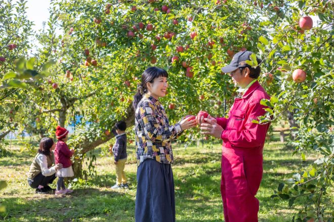 Fruit-picking on a tourist farm in a fruit village