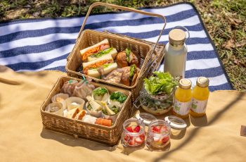 A movie-like picnic in an orchard