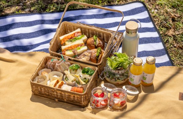 A movie-like picnic in an orchard