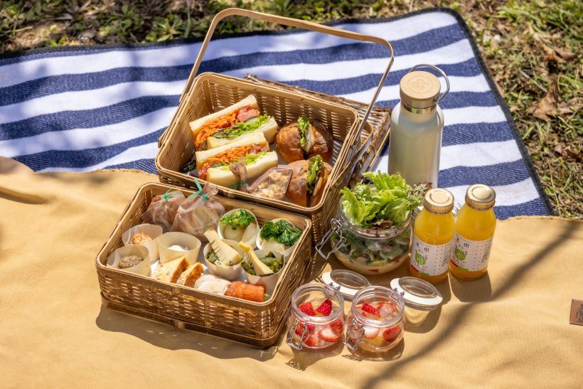 A movie-like picnic in an orchard