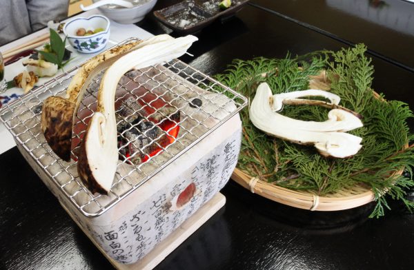 A campsite where you can enjoy seasonal ingredients