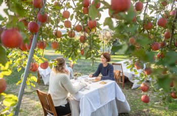 Enjoy French cuisine made with locally sourced ingredients in an orchard