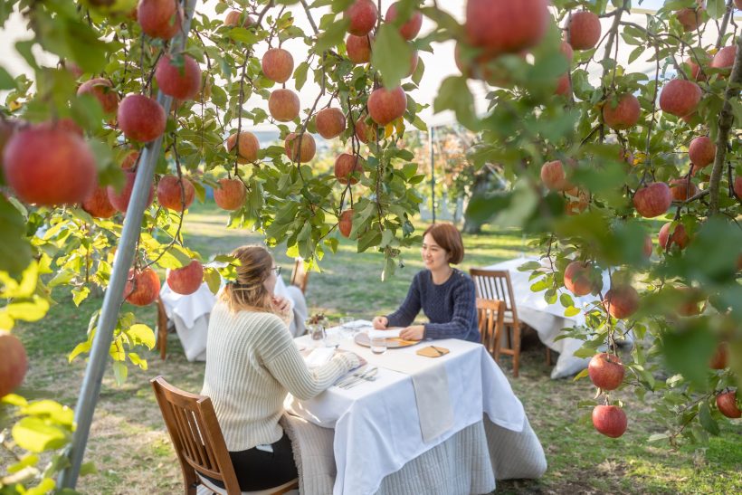 Enjoy French cuisine made with locally sourced ingredients in an orchard