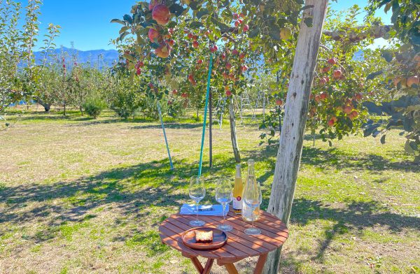 Enjoy French cuisine made with locally sourced ingredients in an orchard