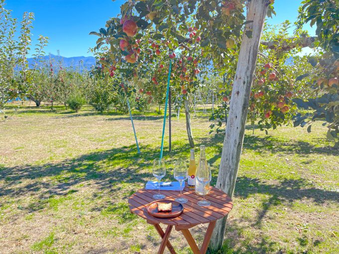 Enjoy French cuisine made with locally sourced ingredients in an orchard