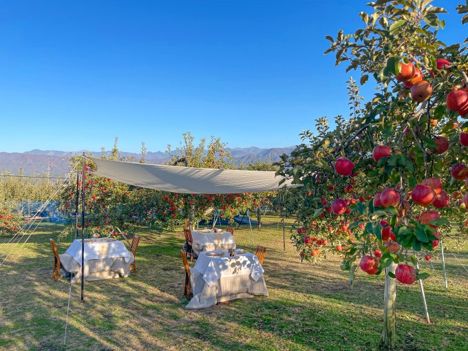 Enjoy French cuisine made with locally sourced ingredients in an orchard