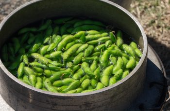 GIあけぼの大豆収穫体験