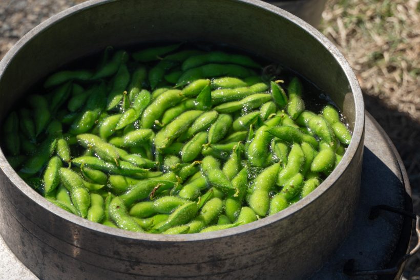 GIあけぼの大豆収穫体験