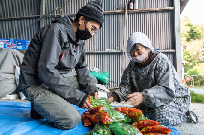 GIあけぼの大豆収穫体験