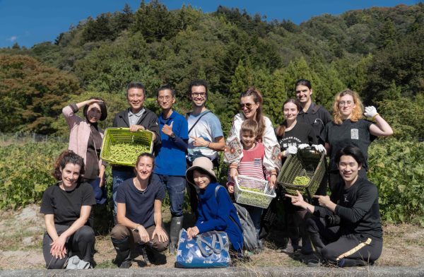 Harvest GI Akebono soybeans